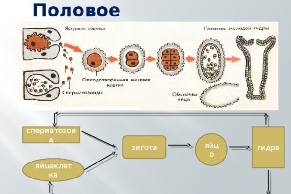 Кракен торговая площадка даркнет