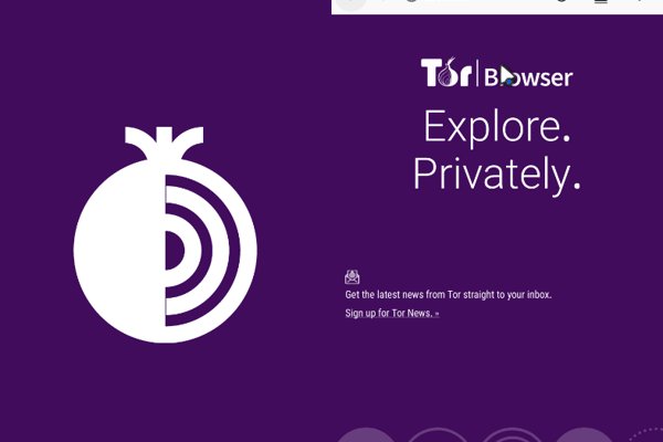 Kraken официальное зеркало kraken dark link