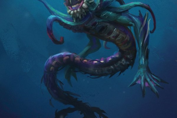 Kraken kraken link24 info