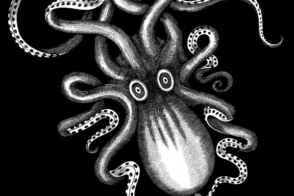 Kraken 19 at