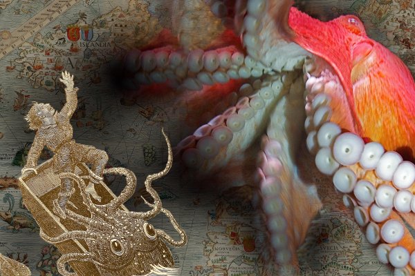 Kraken ссылка зеркало официальный