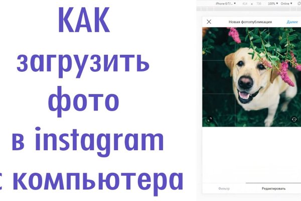 Kraken зеркала gigageek ru