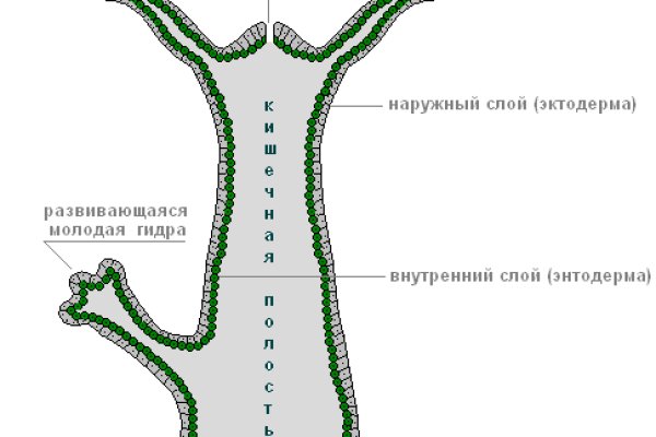 Кракен войти сегодня