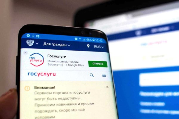 Ссылка на кракен в браузере