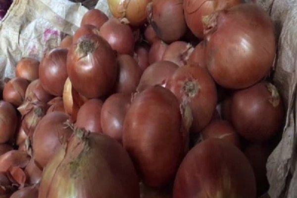 Кракен рабочая ссылка тор