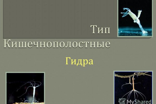 Кракен маркет это