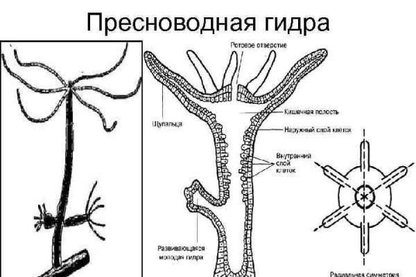 Hydra маркетплейс