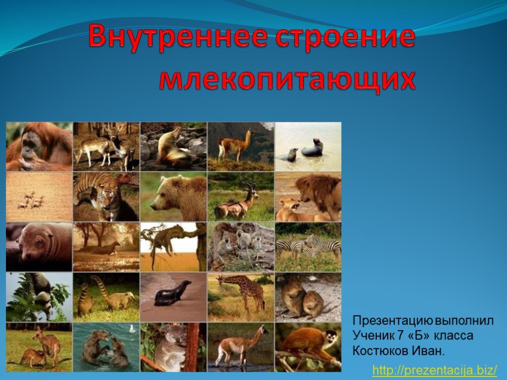 Кракен невозможно зарегистрировать пользователя